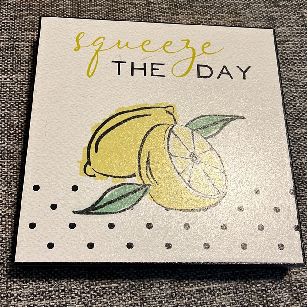 NWT Squeeze The Day 9” x 9” Wall Decor